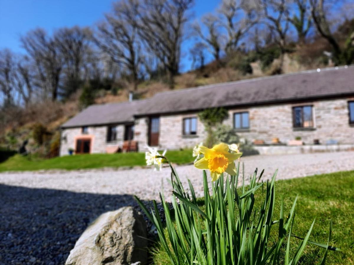 Troedyrhiw