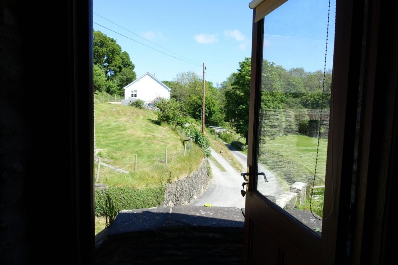 Troedyrhiw Cardigan